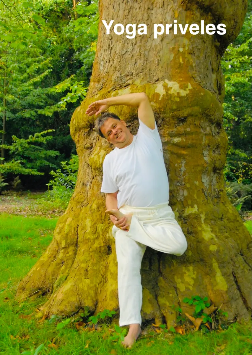 Yogadocent Berry doet een staande yogahouding bij een oude boom